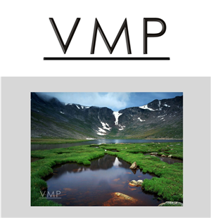 Logo Design by HADI for Vickey Montgomery Photography | Design: #1896970