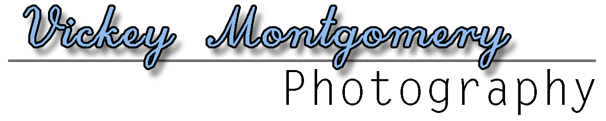 Logo Design by BrokenDynamics for Vickey Montgomery Photography | Design #1885521