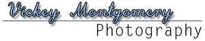 Logo Design by BrokenDynamics for Vickey Montgomery Photography | Design: #1885521