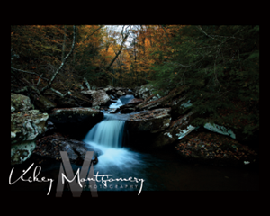 Logo Design by WuzzDapetTerus for Vickey Montgomery Photography | Design: #1892580