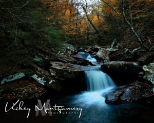 Logo Design by WuzzDapetTerus for Vickey Montgomery Photography | Design: #1896014