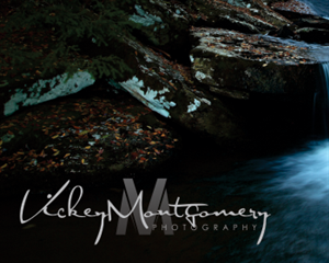 Logo Design by WuzzDapetTerus for Vickey Montgomery Photography | Design: #1896958