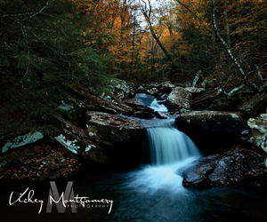 Logo Design by WuzzDapetTerus for Vickey Montgomery Photography | Design: #1901354
