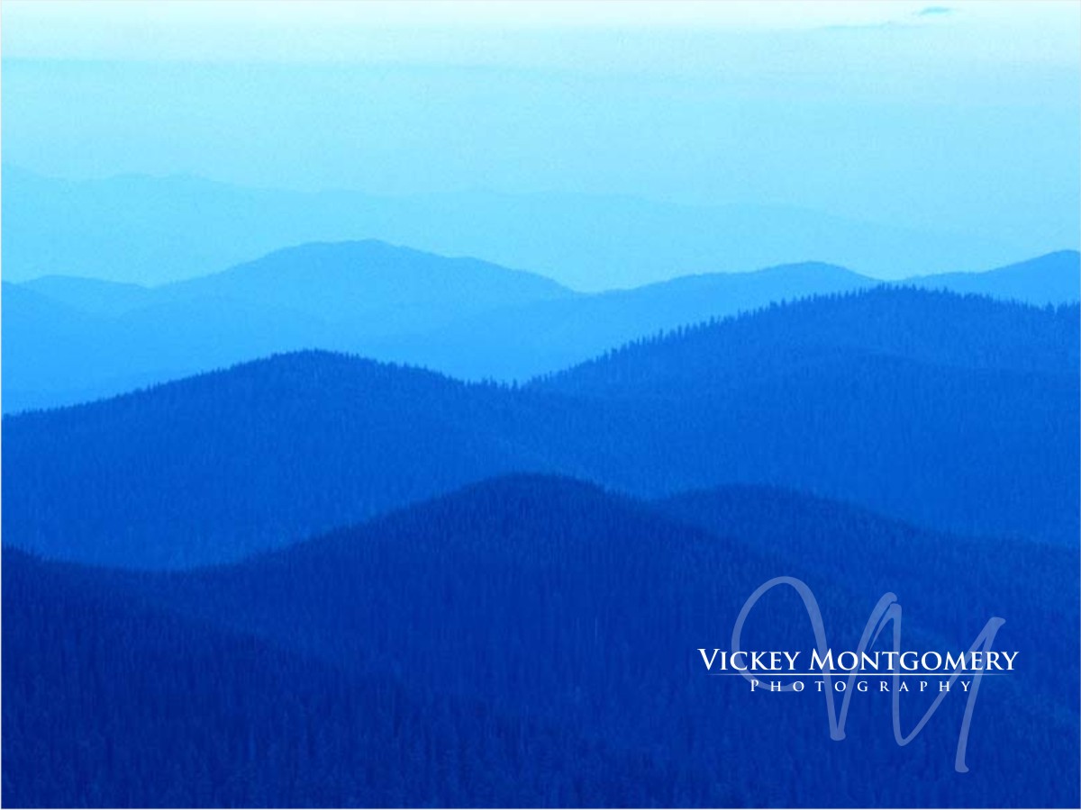 Logo Design by Sushma for Vickey Montgomery Photography | Design #1907269
