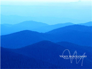 Logo Design by Sushma for Vickey Montgomery Photography | Design: #1907271