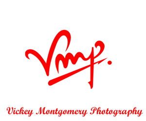 Logo Design by Shireen Designs for Vickey Montgomery Photography | Design: #1886667