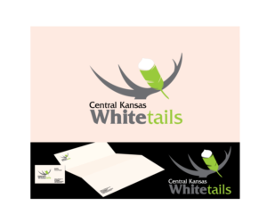 Logo Design by river graphics