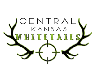 Logo Design by lyttesko