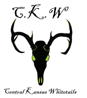 Logo Design by Tim