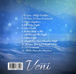 CD Cover Design by Gfx.26™ for this project | Design: #7675910