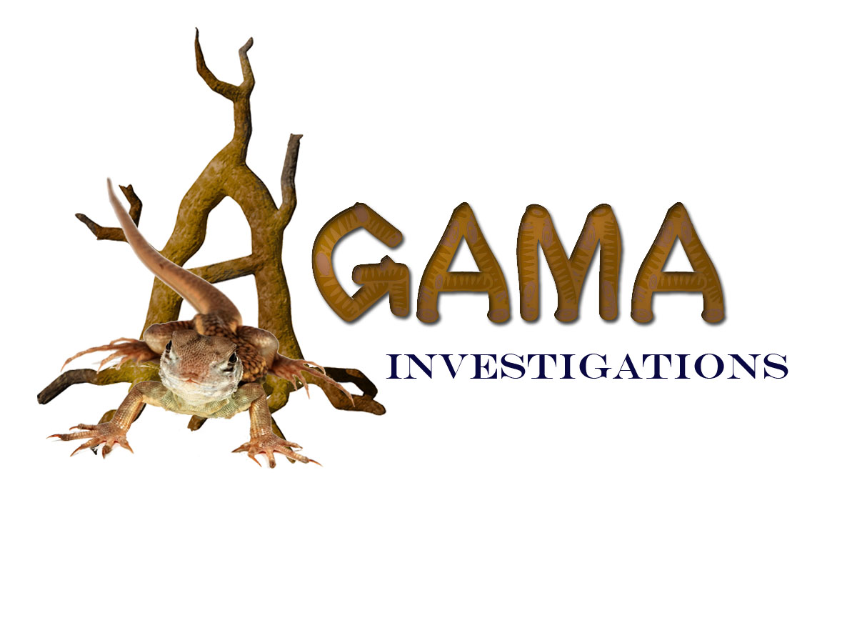 Diseño de Logo por nicoletta para este proyecto | Diseño #389276