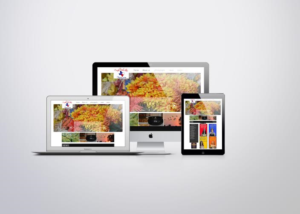 Web Design par rehabeletriby pour ce projet | Design : #7588083
