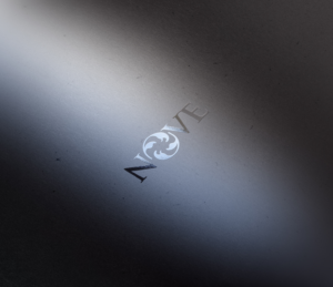 Design de Logo par niko pour ce projet | Design : #7508535