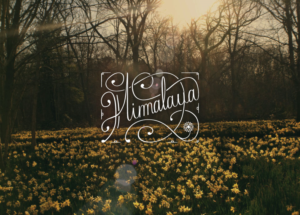 Logo Design by Simon for Himalaya Textilhandels GmbH | Design: #7605239
