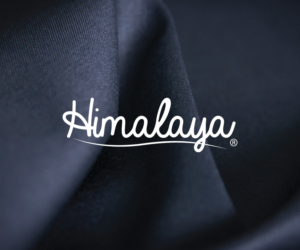 Logo Design by mpinc