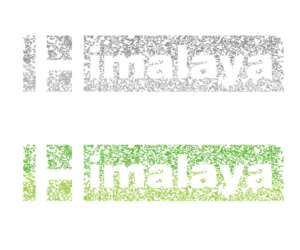 Logo Design by D'Fox Design