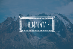 Logo Design by Silverfox Studio for Himalaya Textilhandels GmbH | Design: #7594452