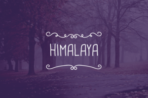 Logo Design by Silverfox Studio for Himalaya Textilhandels GmbH | Design: #7596664