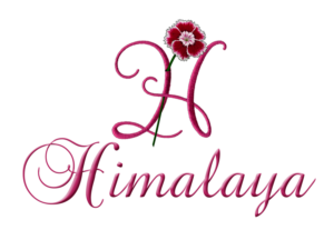 Logo Design by zoxo69