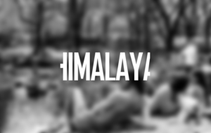 Design de Logo par Shaders99 pour Himalaya Textilhandels GmbH | Design : #7674500