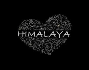 Logo Design by StudioTS™