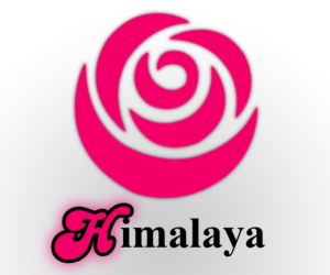 Diseño de Logo por Raj Chaubey para Himalaya Textilhandels GmbH | Diseño: #7683439