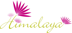 Logo Design by Albion Design Project