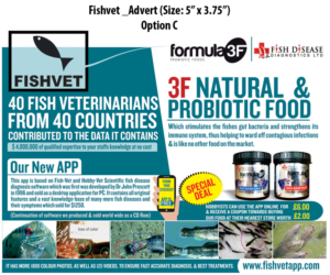 Design Publicitaire par Vims_Charan pour ce projet | Design : #7626338