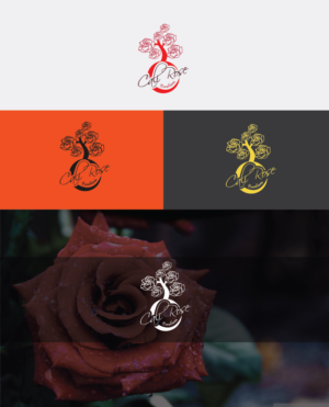 Design de Logo par alizainbarkat pour ce projet | Design : #7538298