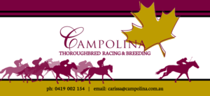 Graphic Design by annecran8 for this project | Design: #7553243