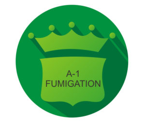 Logo Design by Putraingga
