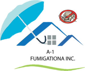 Logo Design by wukodlak91
