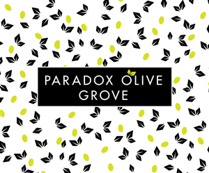 Logo Design by Circle Skyy