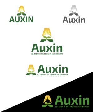 Logo-Design von StudioD™ für Auxin | Design: #7525814