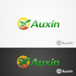 Auxin | Design de Logo par Globat™