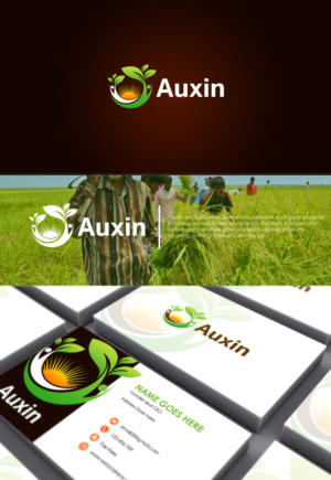 Logo-Design von BehindSymbols für Auxin | Design: #7611332
