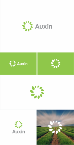 Logo Design by Naavyd for Auxin | Design: #7591954