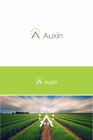Logo Design by Naavyd for Auxin | Design: #7591955