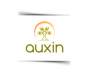 Logo Design by Dana Jelescu