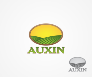 Logo Design by Abdul Haseeb for Auxin | Design: #7565130