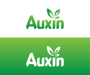 Logo Design by Abdul Haseeb for Auxin | Design: #7565132