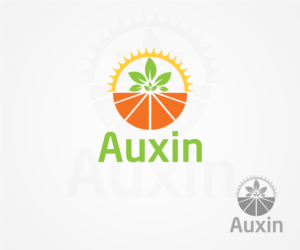 Logo Design by Abdul Haseeb for Auxin | Design: #7627389