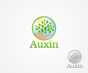 Logo Design by Abdul Haseeb for Auxin | Design: #7627394