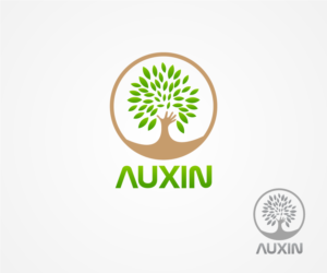 Logo-Design von Abdul Haseeb für Auxin | Design: #7627395