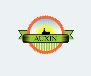 Logo Design by freelancerrashed