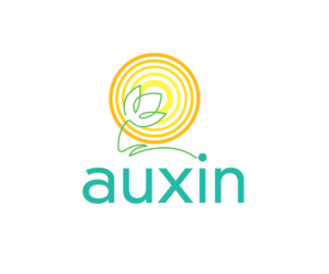Logo Design by GMWIRE for Auxin | Design: #7562635