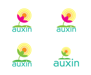 Logo Design by GMWIRE for Auxin | Design: #7577277