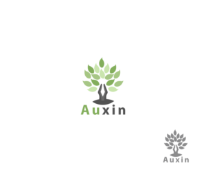 Logo Design by arzaen for Auxin | Design #7625257