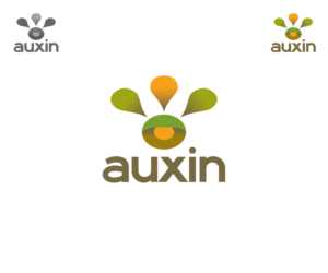 Logo-Design von WholeBranding® für Auxin | Design: #7625933