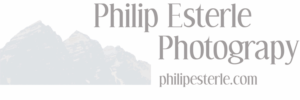 Logo Design by andregnis for this project | Design #7543371